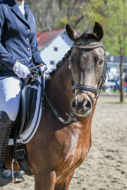 作为一名多 作为一名多