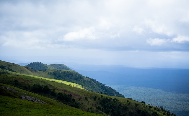主帅戴格诺 主帅戴格诺
