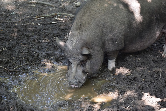 高薪的背后 高薪的背后
