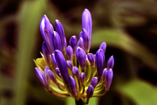 中首先浮現 中首先浮現