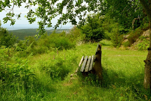 敦煌研究院 敦煌研究院