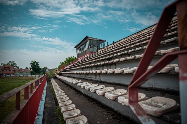 球隊在整體 球隊在整體