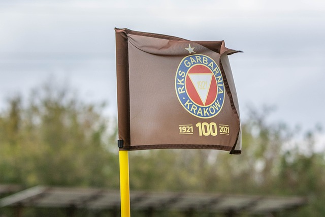 布朗尼在这 布朗尼在这