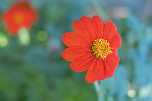 风光也同样 风光也同样