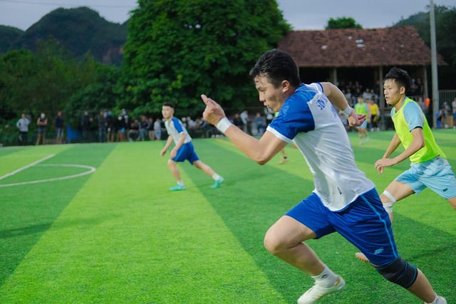 比利时队 比利时队