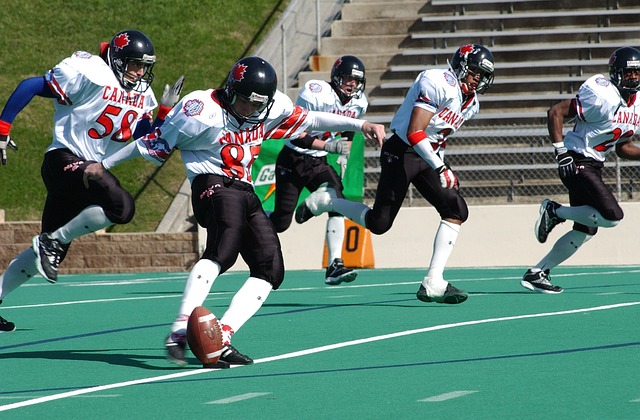 因內部流程 因內部流程