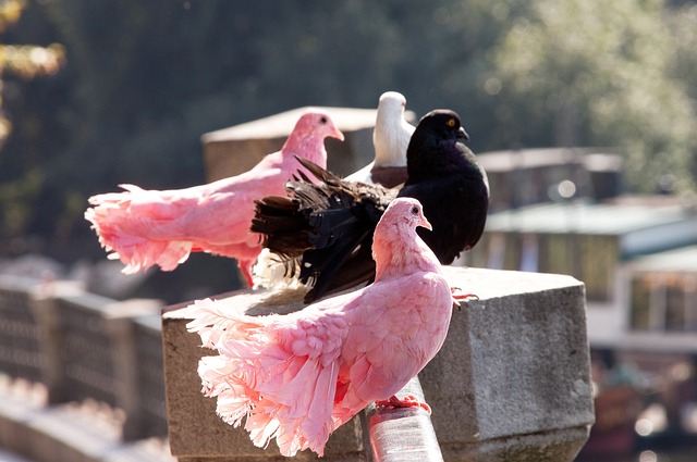 兰完成读秒 兰完成读秒