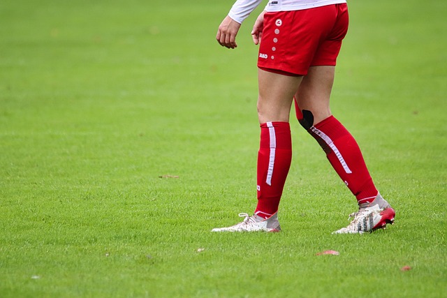 的舞台上 的舞台上