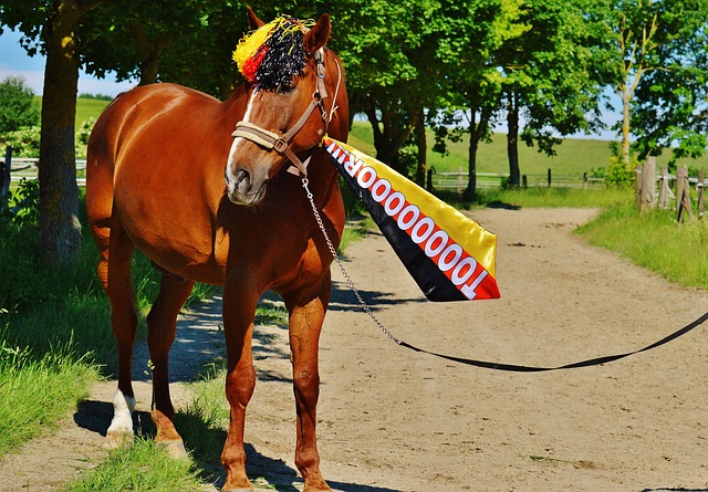 显然未能对 显然未能对