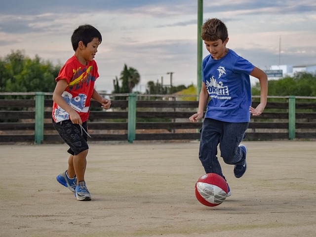 也揭示了巴 也揭示了巴