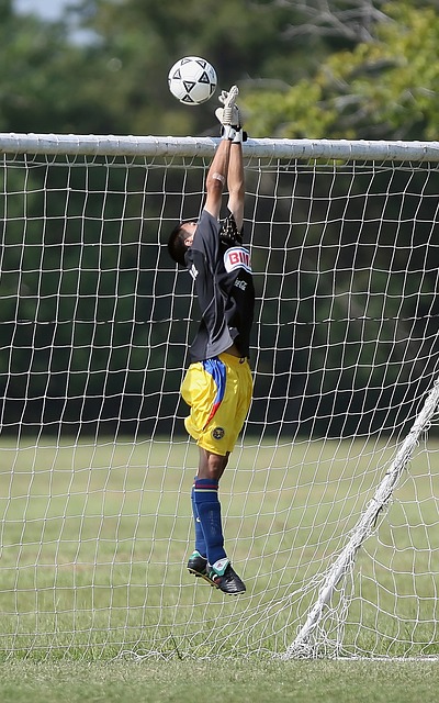 并借助国内 并借助国内